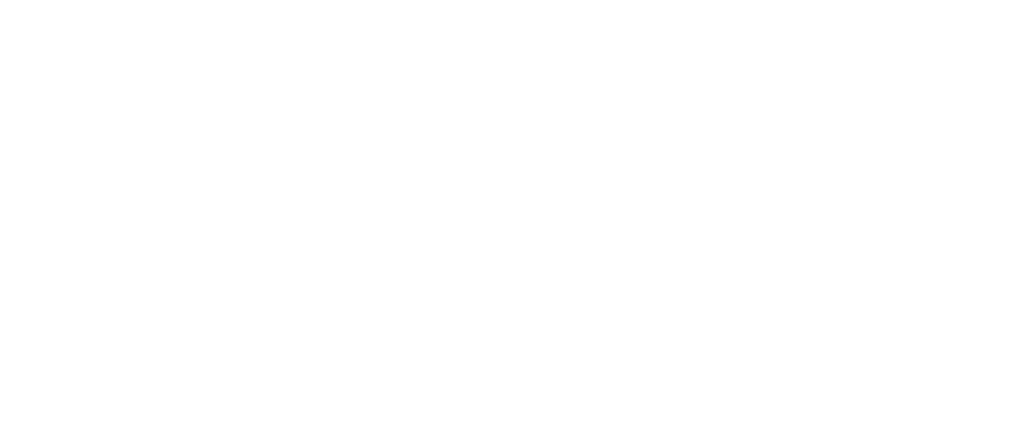 The International Renaissance Foundation